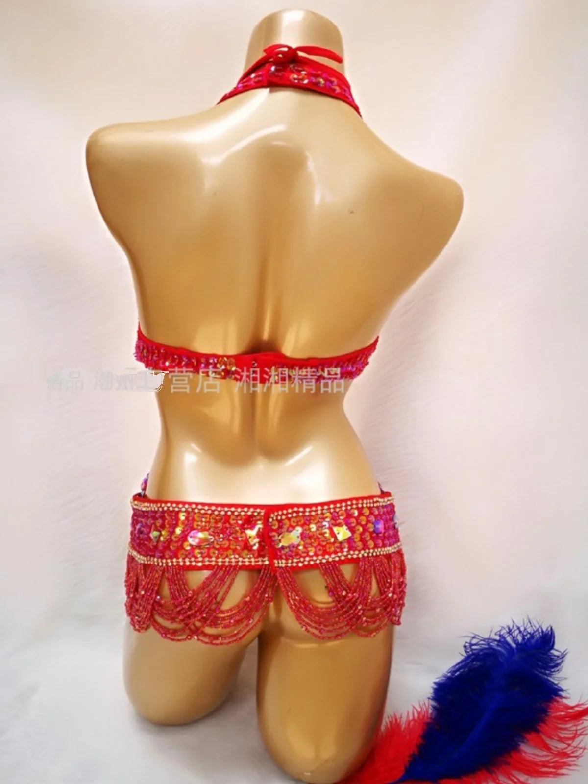 Sexy Belly dance costumes women belly dance bra belt set sexy belly dancing outfit Carnival costume Tops Bra Waist Chain Belt